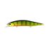 Gold Perch