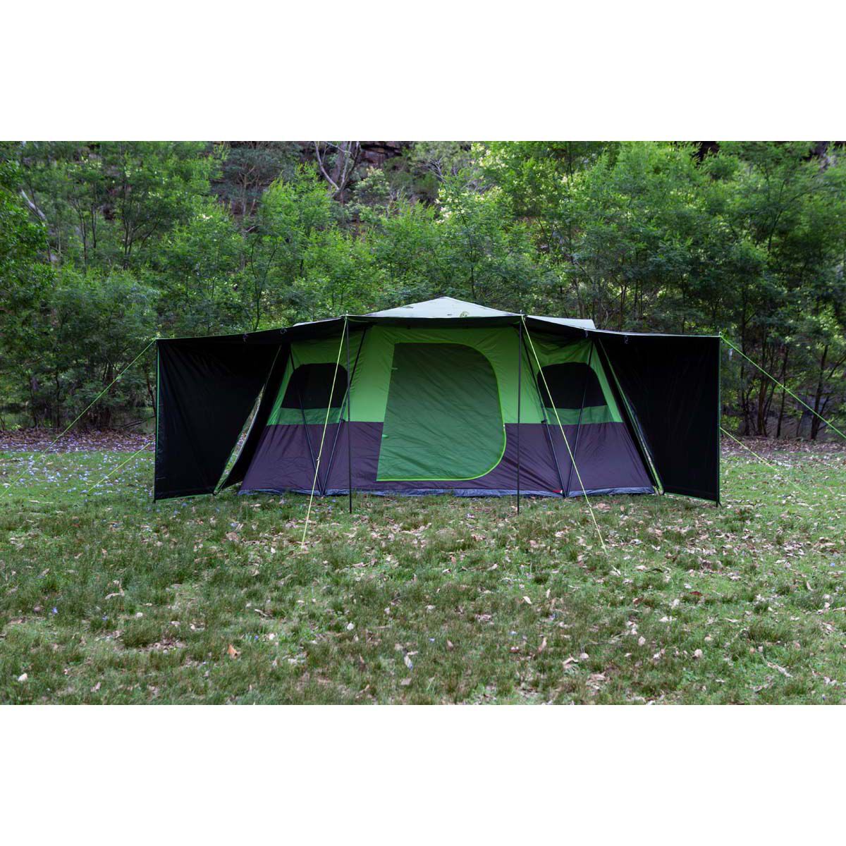 Coleman 10p darkroom cheap
