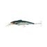 Pilchard