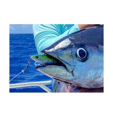 Ocean's Legacy Access Swivel, , bcf_hi-res