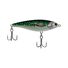 Green Mackerel