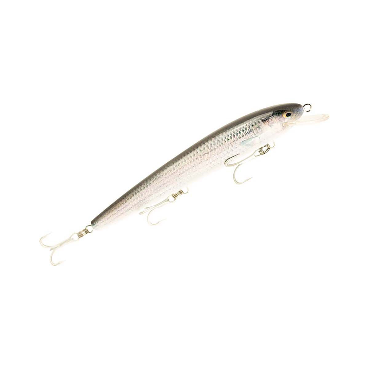 Raptor Live Dominator Hard Body Lure 7in Mullet, Mullet, bcf_hi-res
