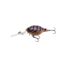 Brown Shrimp