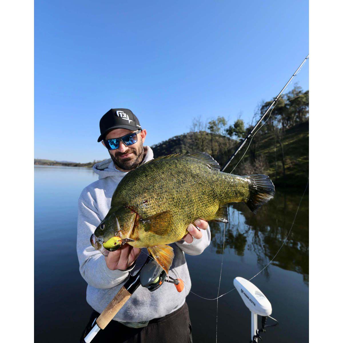 13 Fishing Jabber Jaw Deep Crankbait Lure 2.3in Citrus Shad, Citrus Shad, bcf_hi-res