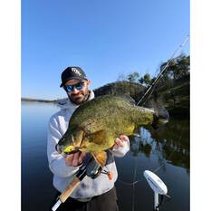 13 Fishing Jabber Jaw Deep Crankbait Lure 2.3in Citrus Shad, Citrus Shad, bcf_hi-res