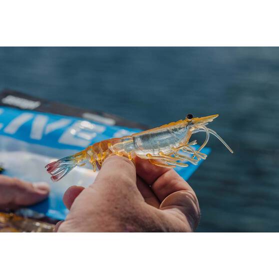 Nomad Live Ops Switcher Shrimp Soft Plastic Lure 5in Brown Flasher, Brown Flasher, bcf_hi-res