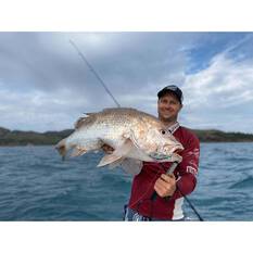 Nomad Vertrex Max Soft Vibe Lure 110mm The Grunt, The Grunt, bcf_hi-res