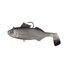 Bony Bream