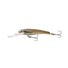 Spotted Herring