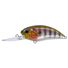 Prism Gill