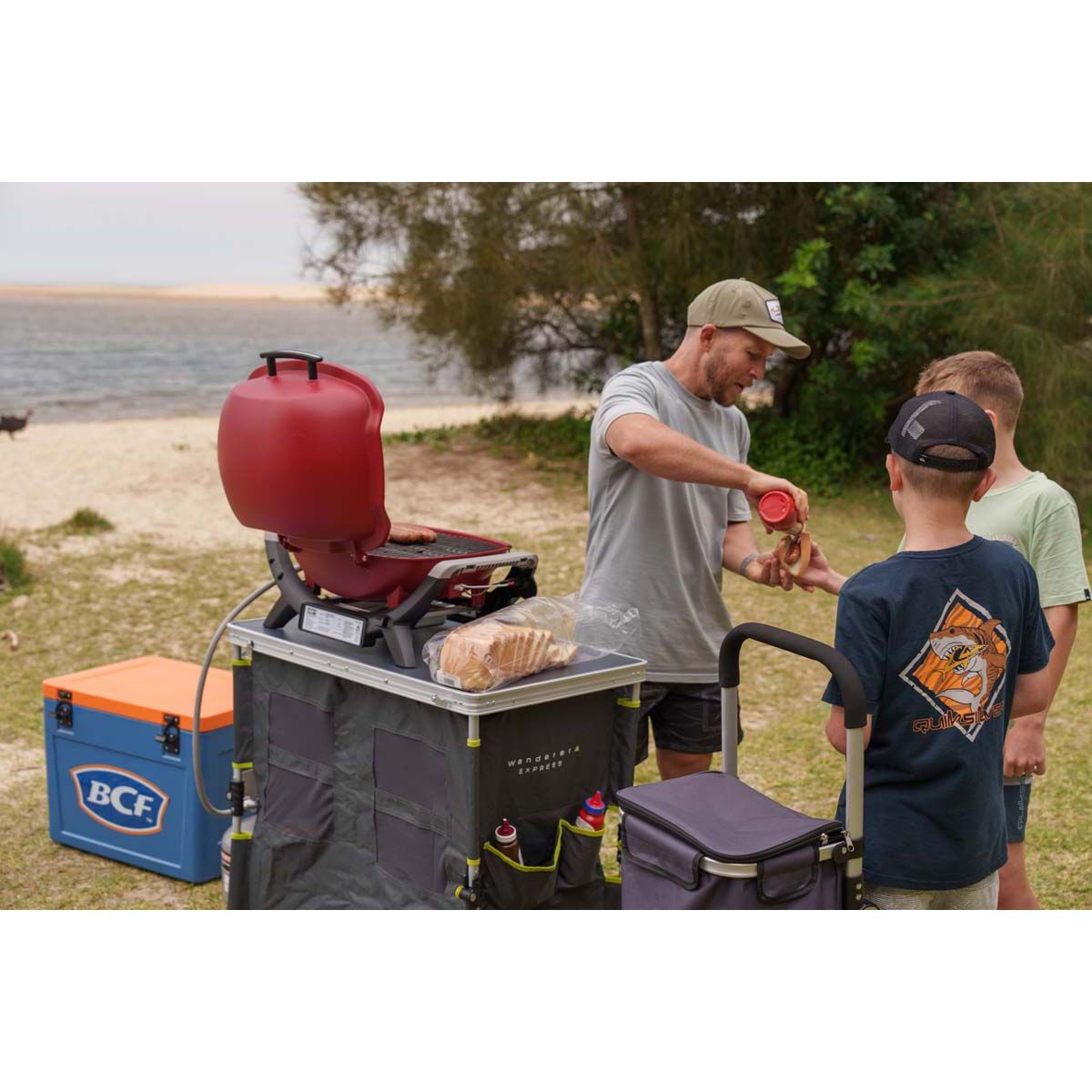 Weber Baby Q Flame Red (Q1000N) LP BBQ, , bcf_hi-res