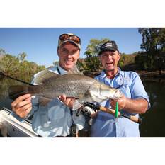 Halco TB55 Hard Body Lure 55mm Silver Shadow, Silver Shadow, bcf_hi-res