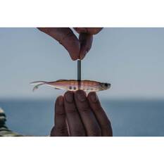 Nomad Live Ops Fallout Minnow Soft Plastic Lure 5in Arkansas Shiner, Arkansas Shiner, bcf_hi-res