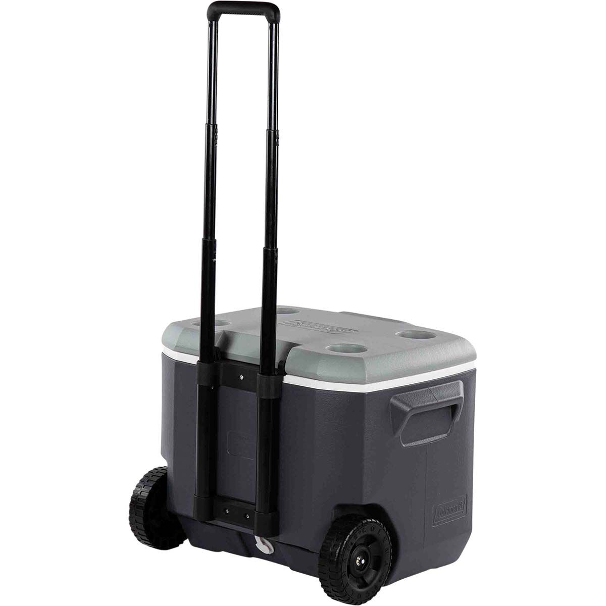 Coleman vertical cooler best sale 57l