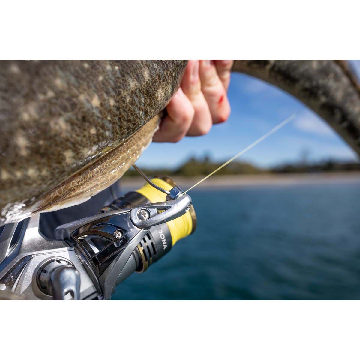 Shimano Sedona FJ Spinning Reel 2500, , bcf_hi-res