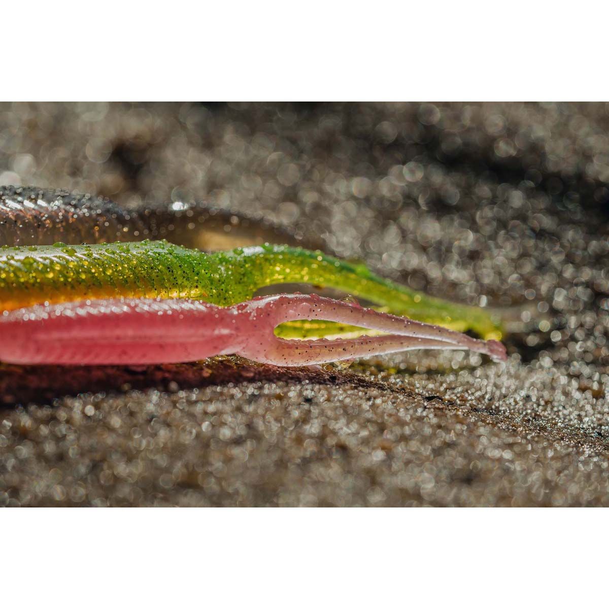 Nomad Live Ops Double Down Soft Plastic Lure 4in Pearl White, Pearl White, bcf_hi-res