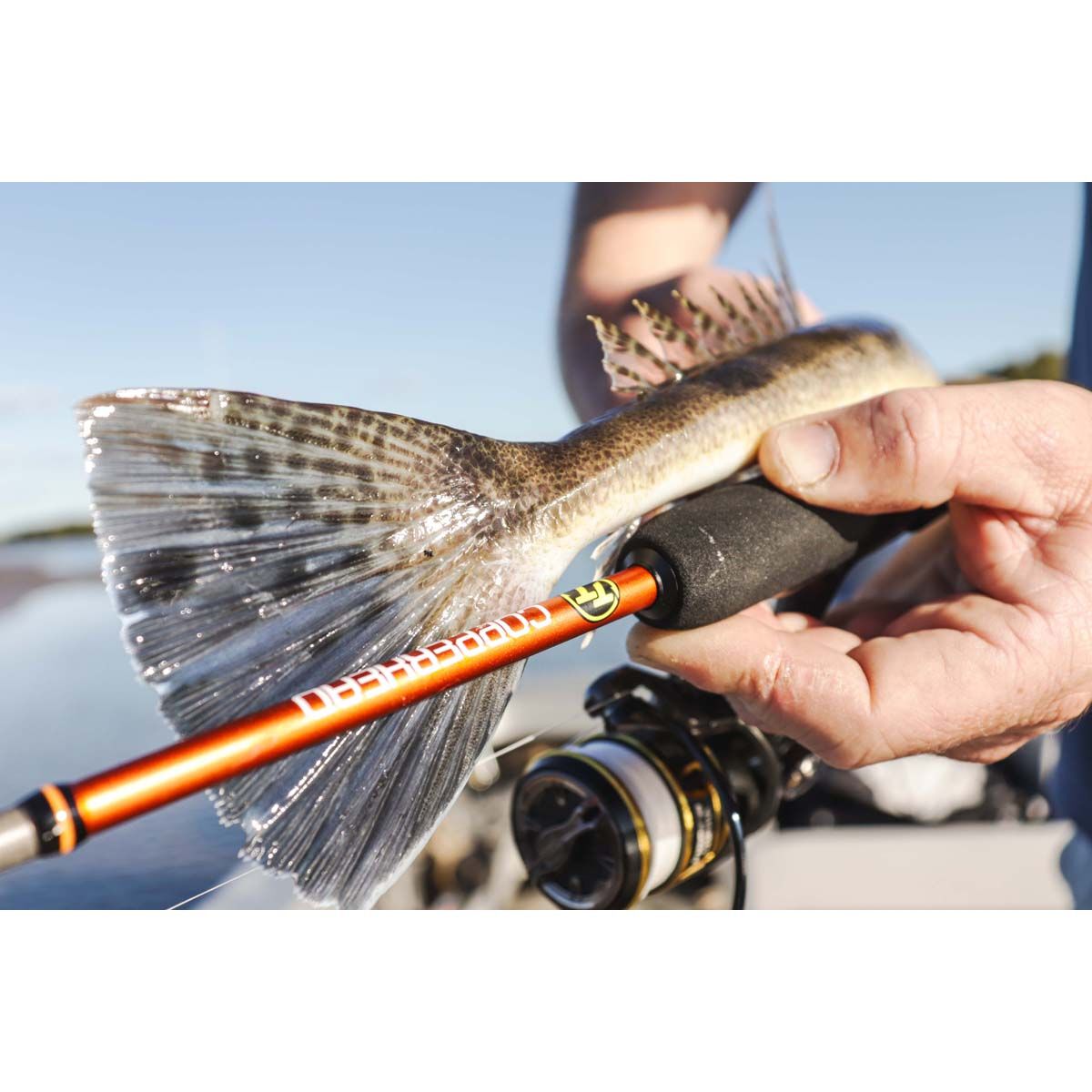 TT Fishing Copper Head Spinning Rod, , bcf_hi-res