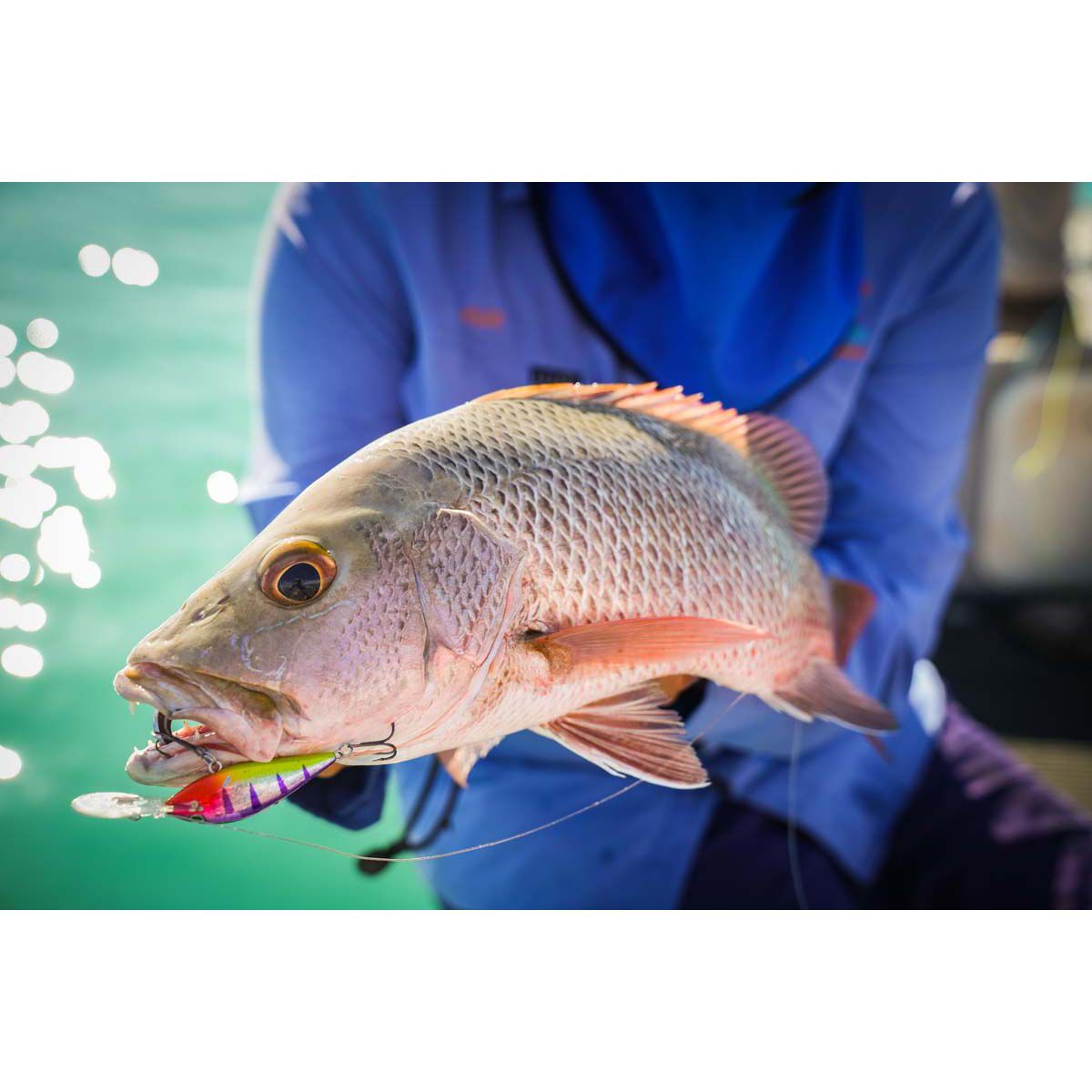 Halco TB55 Hard Body Lure 55mm Lava, Lava, bcf_hi-res