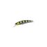 Archer Fish