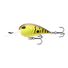 Brown Craw