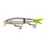 Silver Shad