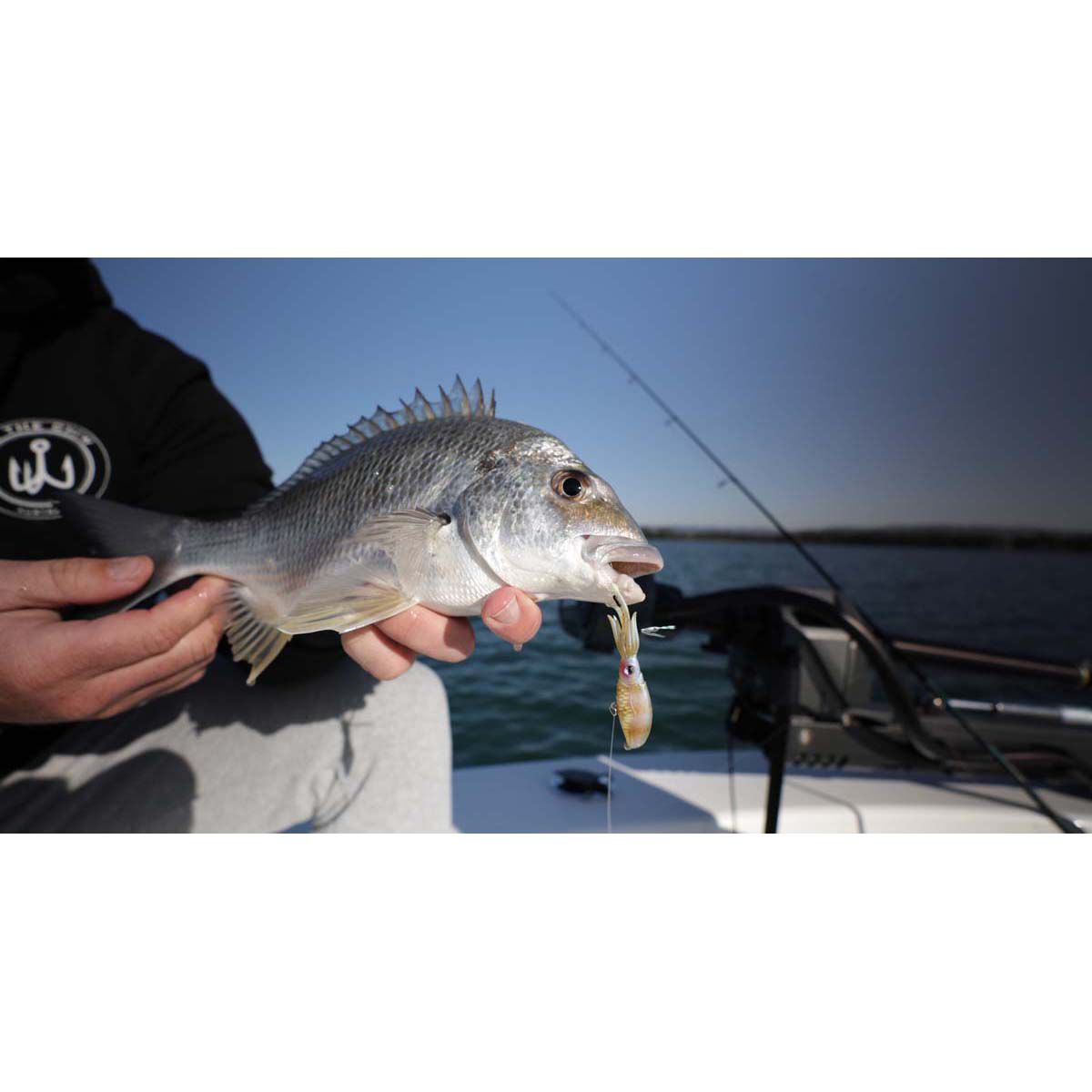 Nomad Squidtrex Vibe Lure 55mm Pink Tiger, Pink Tiger, bcf_hi-res