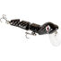 Black Lizard