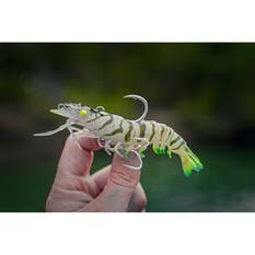 Nomad Live Ops Sumo Shrimp Pre-Rigged Soft Plastic Lure 6.5in Fire Tiger, Fire Tiger, bcf_hi-res