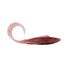 Bloodworm