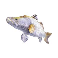 BCF Barramundi 120cm Plush Toy, , bcf_hi-res