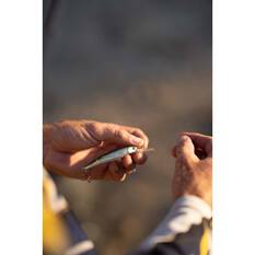 Pro Lure Minnow D Hardbody Lure 72mm Ayu, Ayu, bcf_hi-res