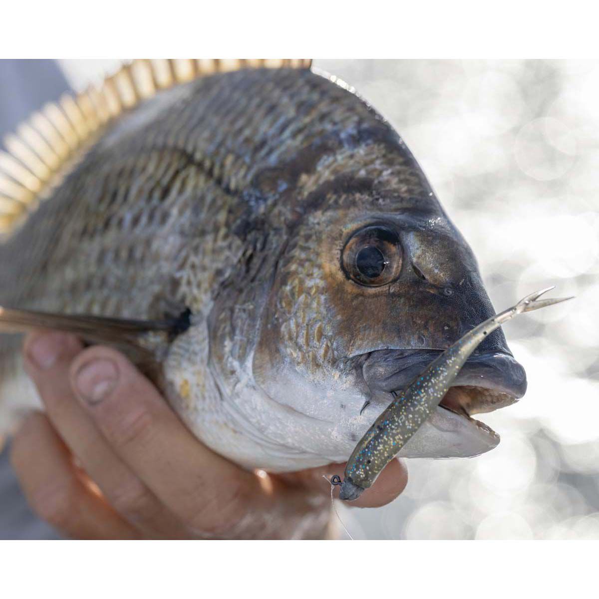 Berkley PowerBait Forktail Minnow Soft Plastic Lure 3.5in Blue Shiner Gold, Blue Shiner Gold, bcf_hi-res