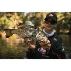 Berkley Shimma Shrimp Soft Vibe Lure 65mm Pearl Shrimp, Pearl Shrimp, bcf_hi-res