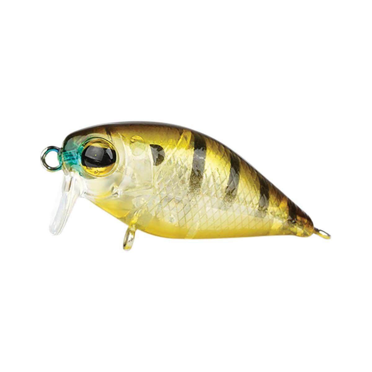 Pro Lure Crank XS Hardbody Lure 36mm Brown Gill, Brown Gill, bcf_hi-res