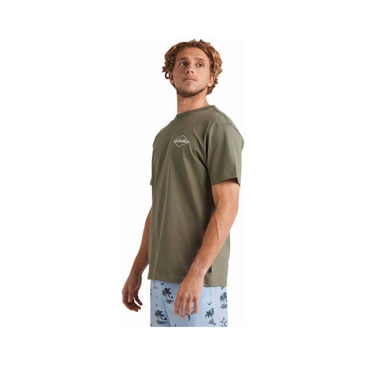 Quiksilver Men's Harbour Short Sleeve Tee, Olive, bcf_hi-res