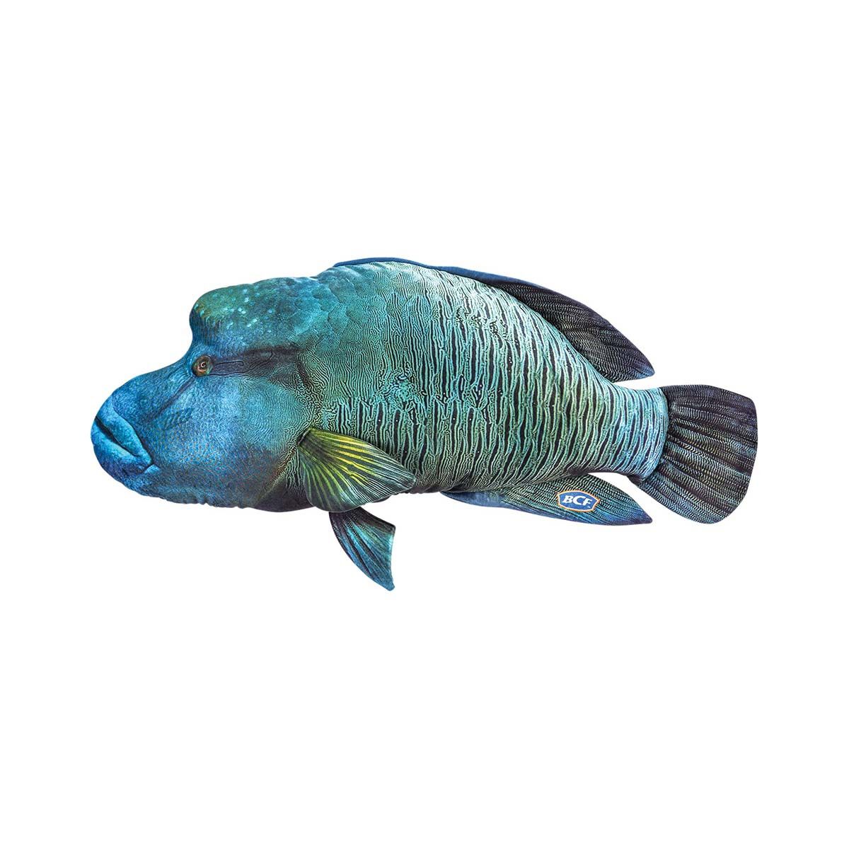 BCF Humpheaded Maori Wrasse 80cm Plush Toy, , bcf_hi-res