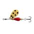 Lady Bug
