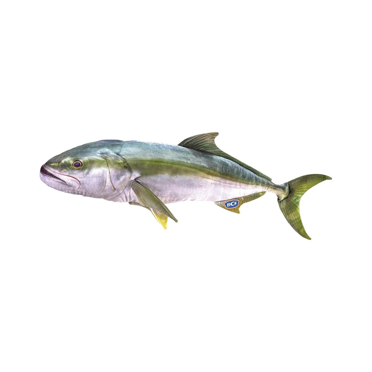 BCF Kingfish 100cm Plush Toy, , bcf_hi-res