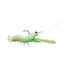 Glow Shrimp