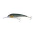 Silver Green Mackerel