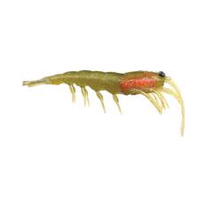 Pro Lure Clone Prawn Soft Plastic Lure 62mm Green Tiger UV, Green Tiger UV, bcf_hi-res