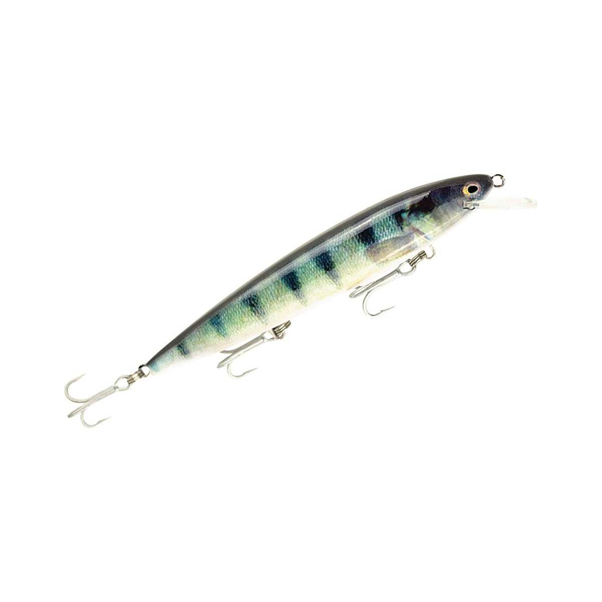 Raptor Live Patriot Hard Body Lure 6in Redfin Perch, Redfin Perch, bcf_hi-res