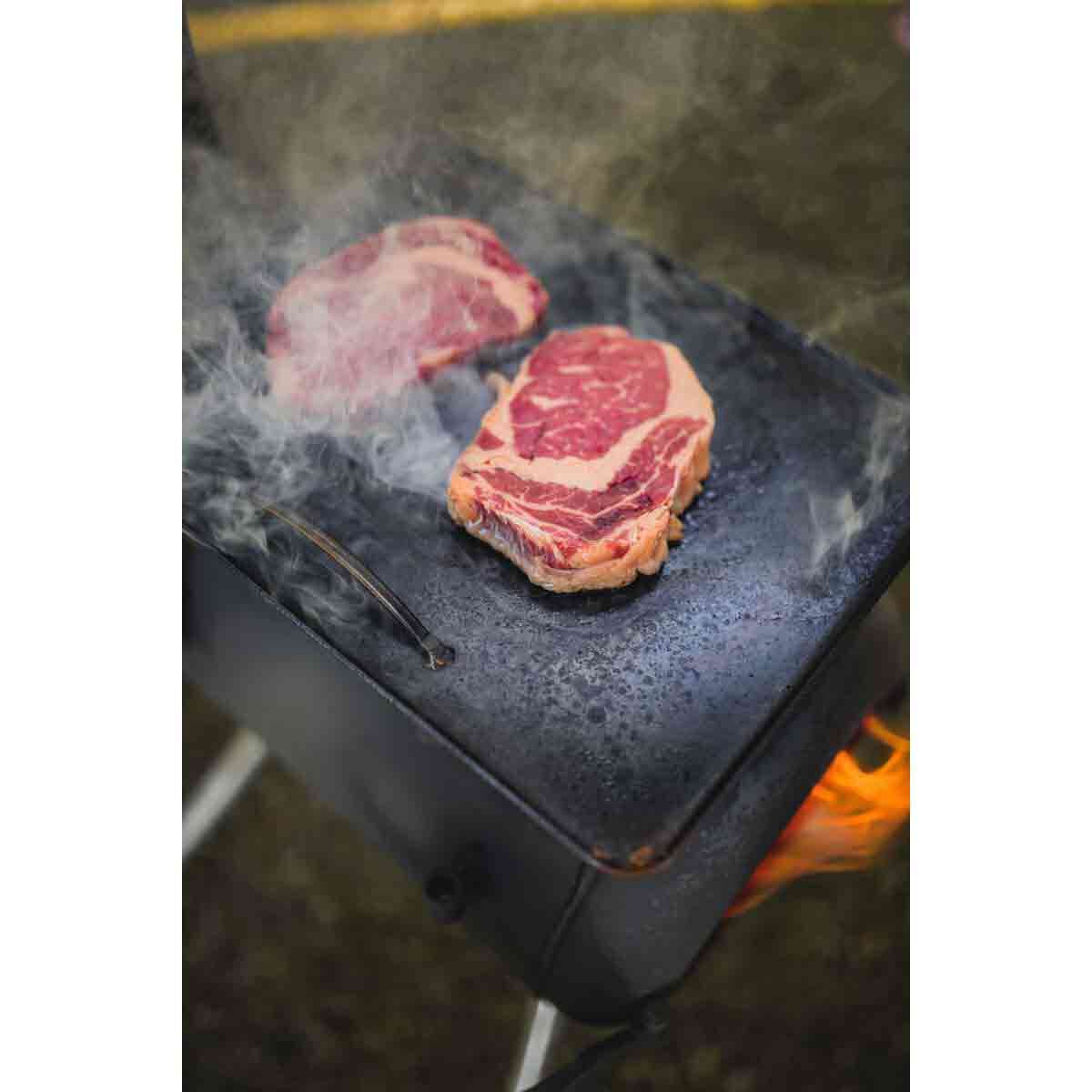 Ozpig Traveller Wood Fired Stove, , bcf_hi-res