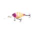 Purple Shrimp