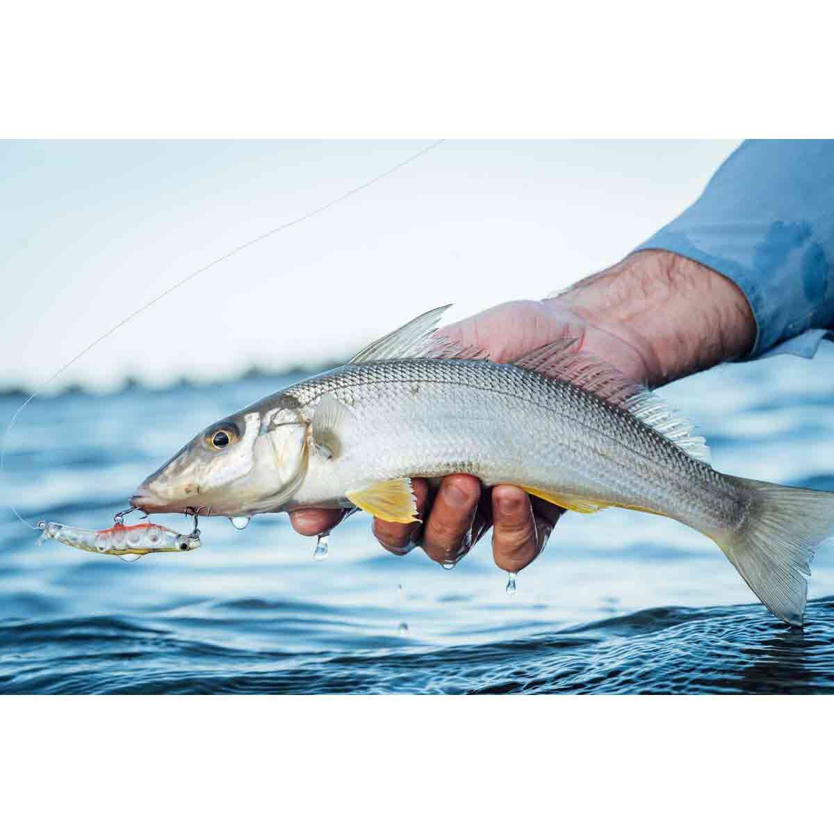 MMD Splash Prawn Surface Lure 70mm Ghost, Ghost, bcf_hi-res