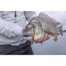 Berkley Shimma Shrimp Soft Vibe Lure 65mm Blue Tail Shrimp, Blue Tail Shrimp, bcf_hi-res