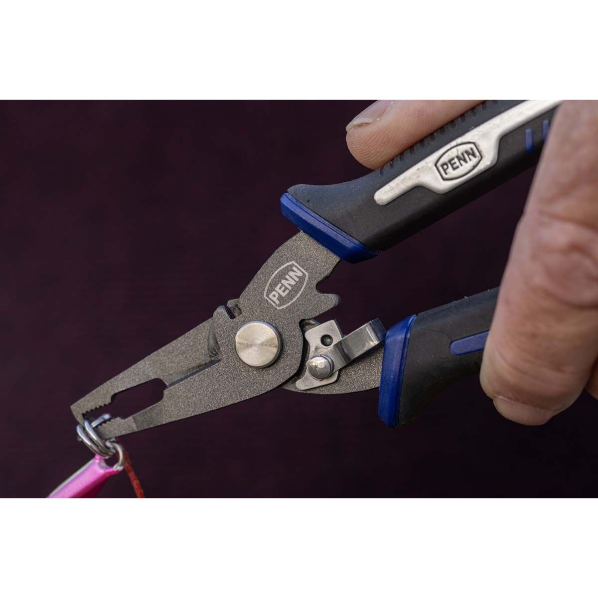 Penn Saltwater Split Ring Pliers 6in Blue, , bcf_hi-res