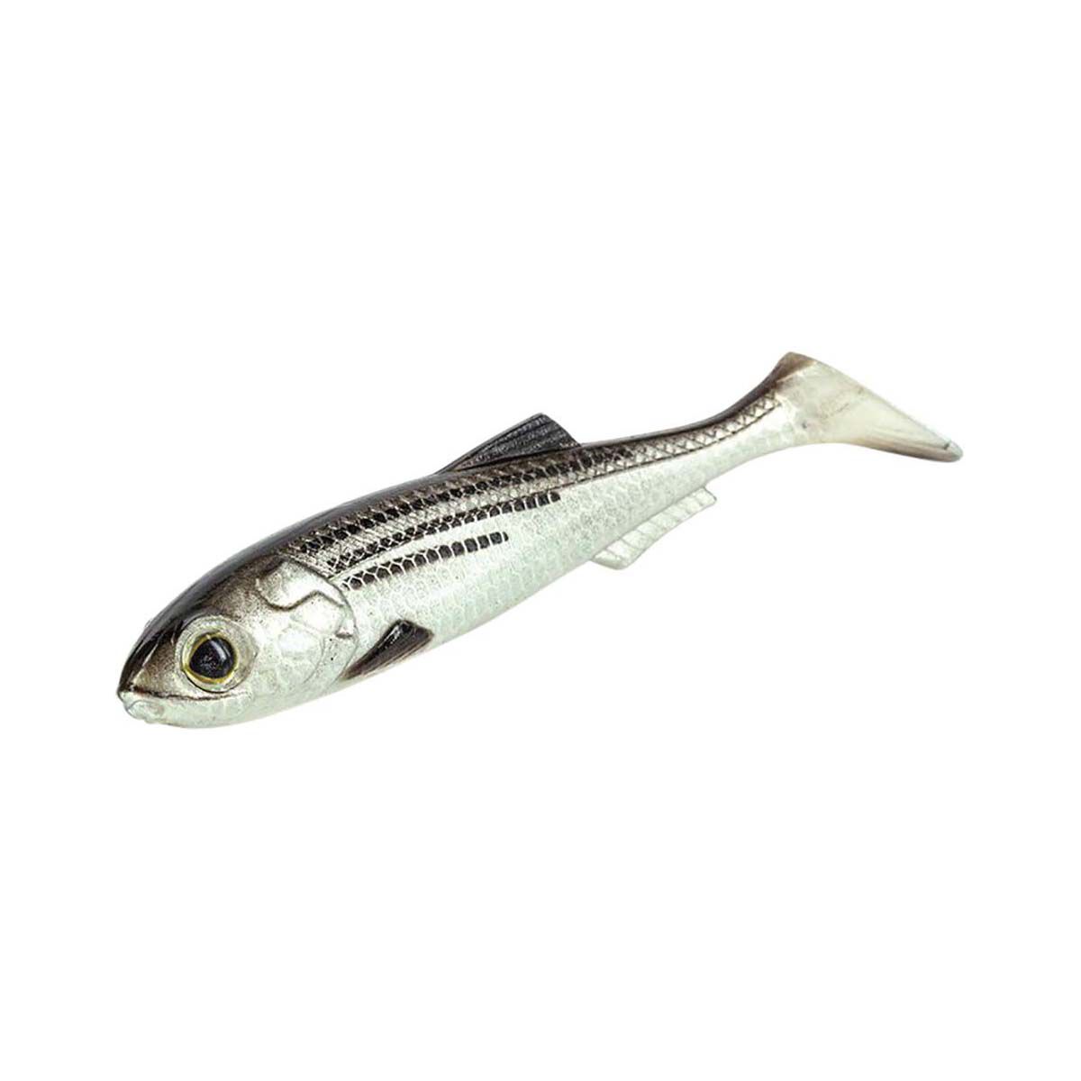 Molix RT Shad Soft Plastic Lure 5.5in Mullet, Mullet, bcf_hi-res