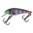 Rainbow Trout