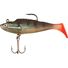 Grey Mullet